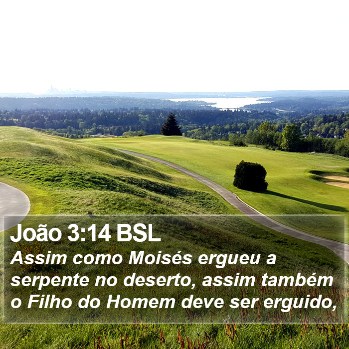 João 3:14 BSL Bible Study