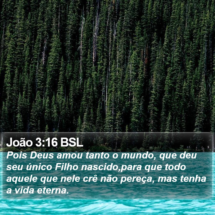 João 3:16 BSL Bible Study