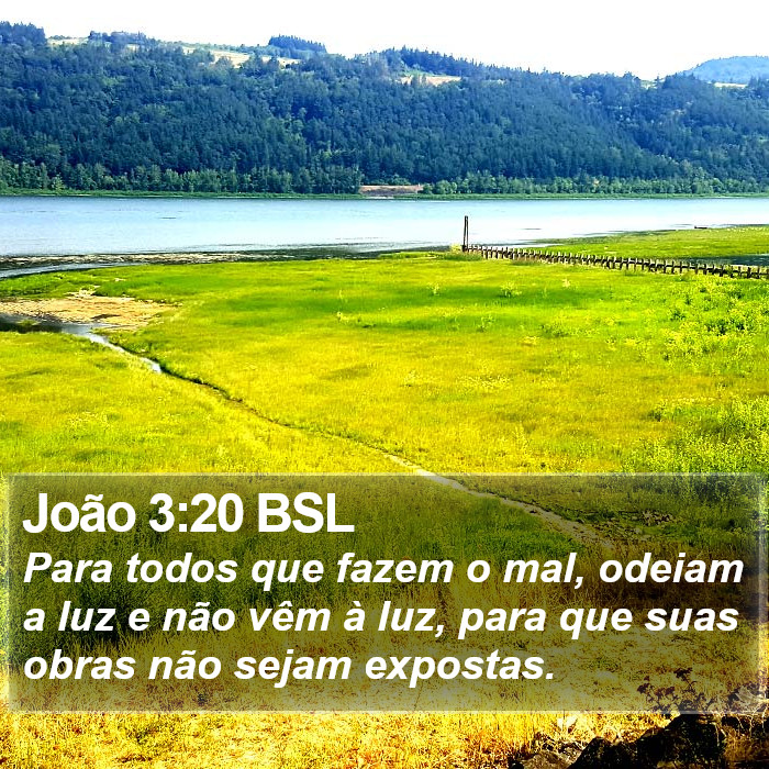 João 3:20 BSL Bible Study