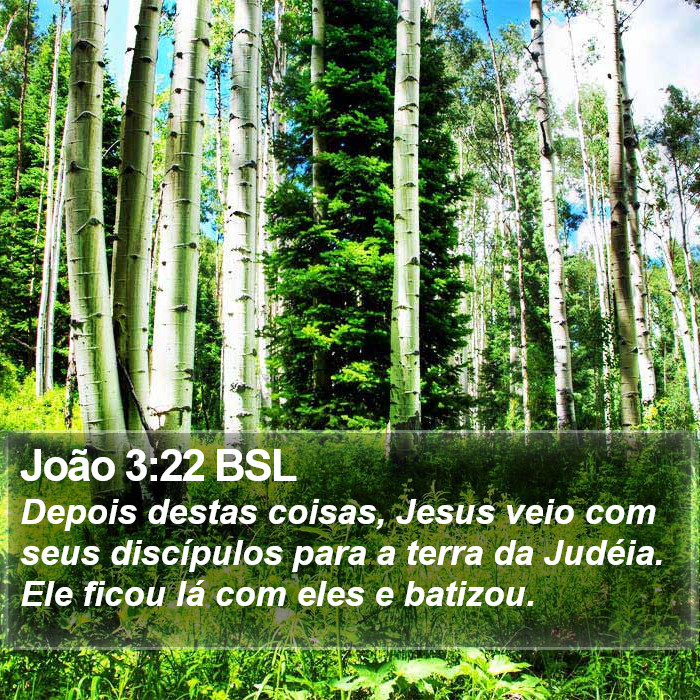 João 3:22 BSL Bible Study