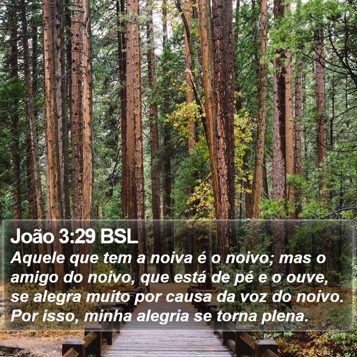 João 3:29 BSL Bible Study