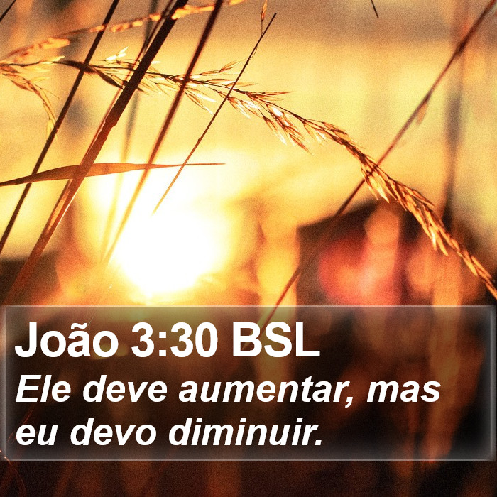 João 3:30 BSL Bible Study