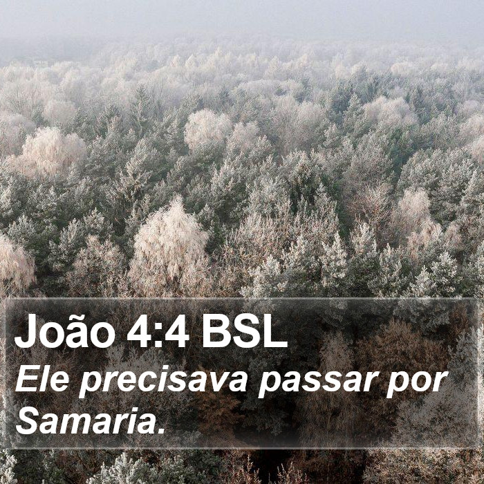 João 4:4 BSL Bible Study