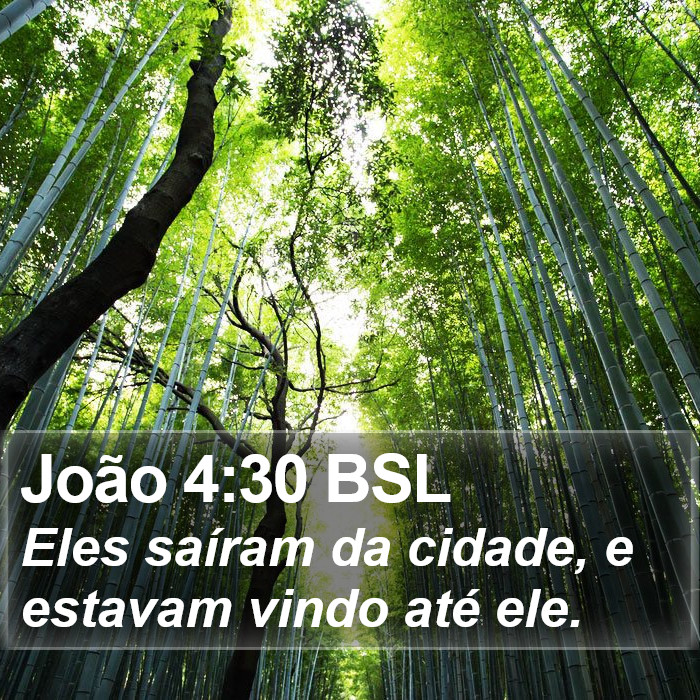 João 4:30 BSL Bible Study