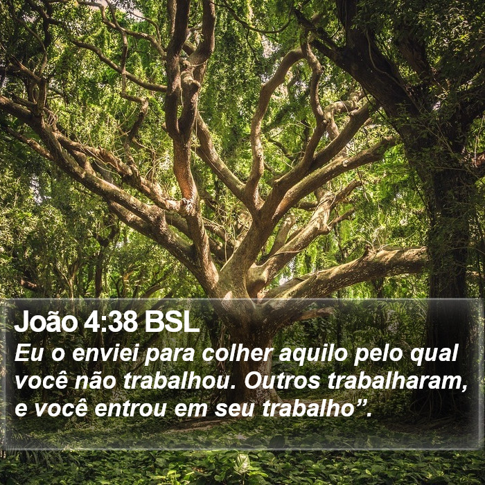 João 4:38 BSL Bible Study