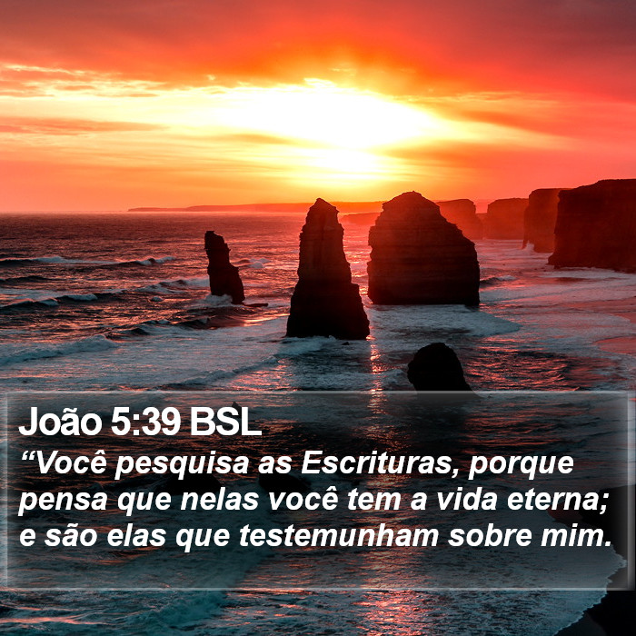 João 5:39 BSL Bible Study