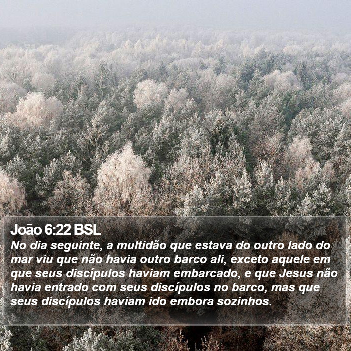 João 6:22 BSL Bible Study