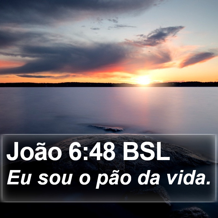 João 6:48 BSL Bible Study