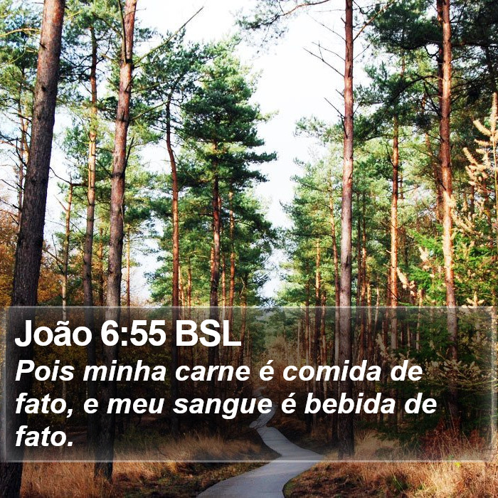 João 6:55 BSL Bible Study