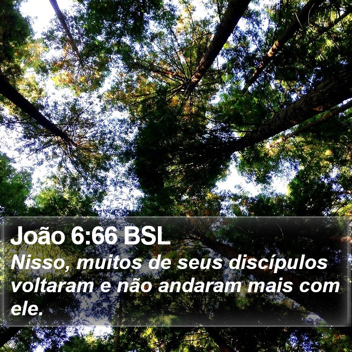 João 6:66 BSL Bible Study