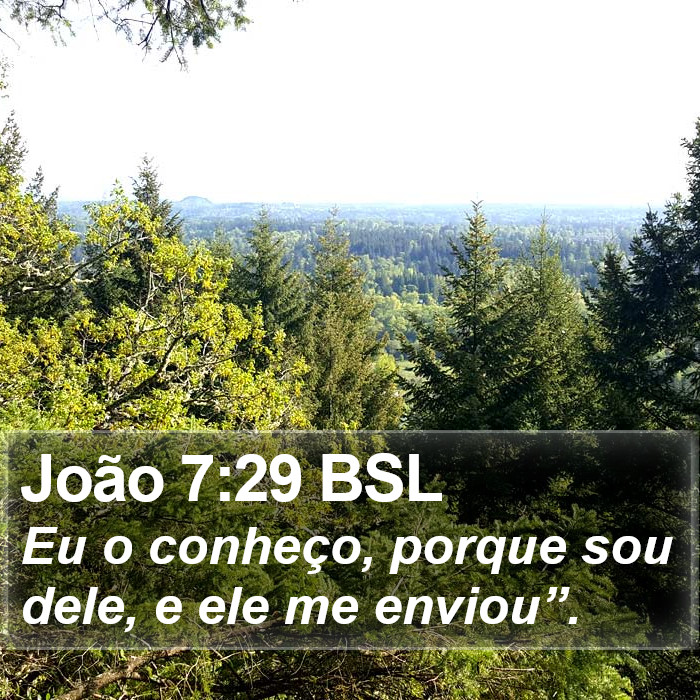 João 7:29 BSL Bible Study