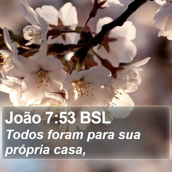 João 7:53 BSL Bible Study