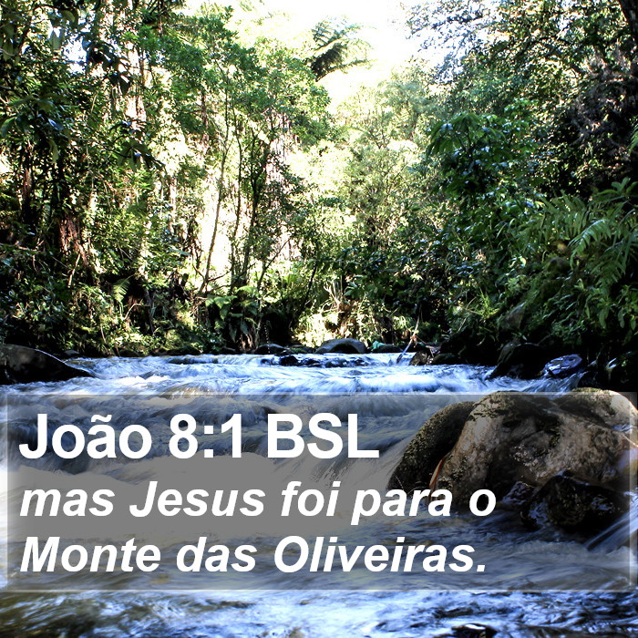 João 8:1 BSL Bible Study