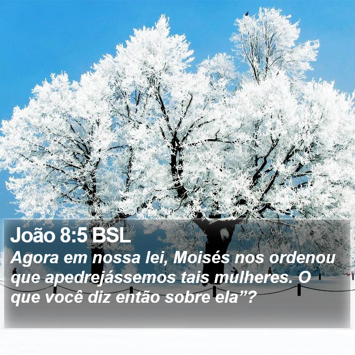 João 8:5 BSL Bible Study