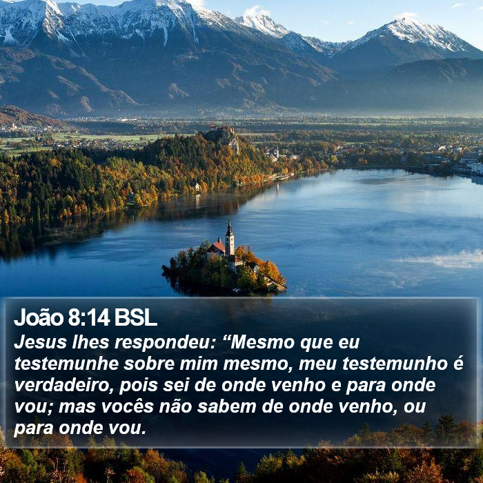 João 8:14 BSL Bible Study