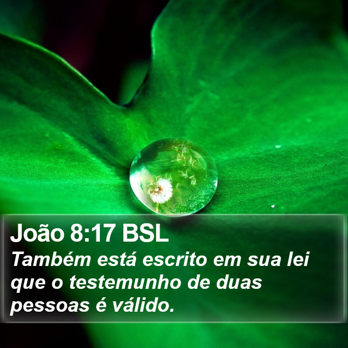 João 8:17 BSL Bible Study