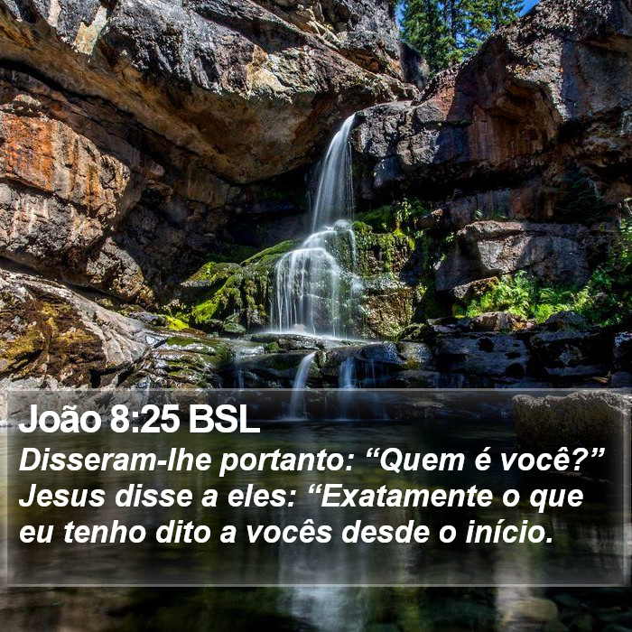 João 8:25 BSL Bible Study