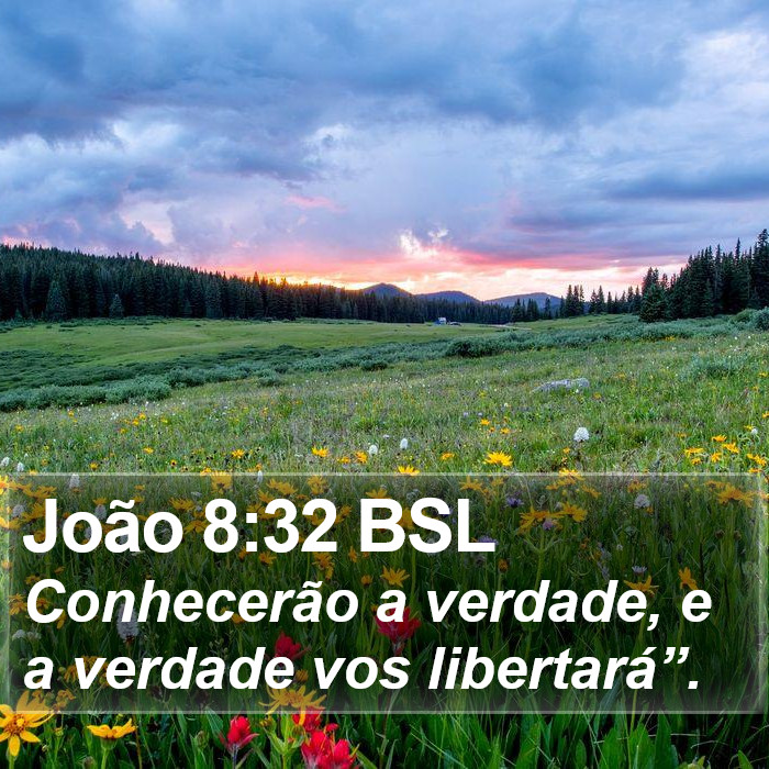 João 8:32 BSL Bible Study