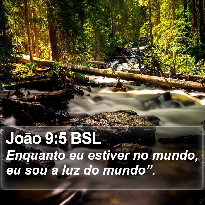 João 9:5 BSL Bible Study