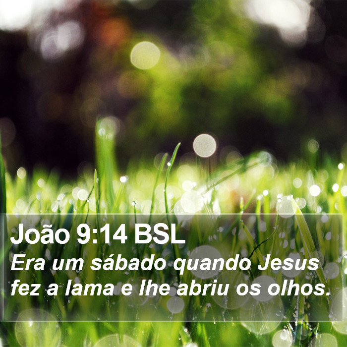 João 9:14 BSL Bible Study