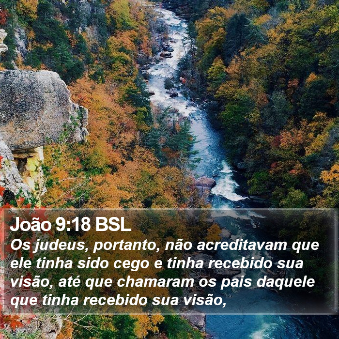 João 9:18 BSL Bible Study