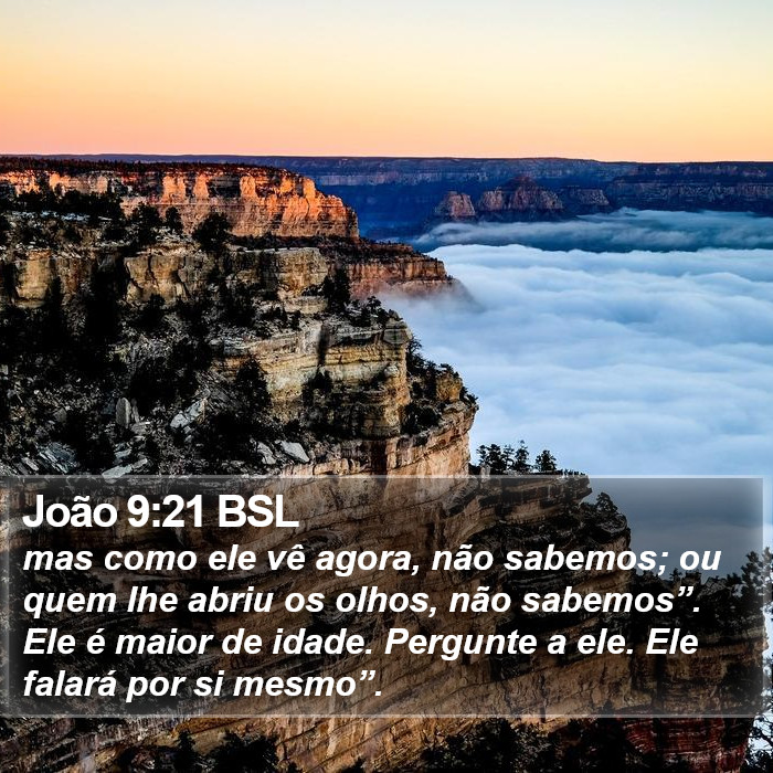 João 9:21 BSL Bible Study