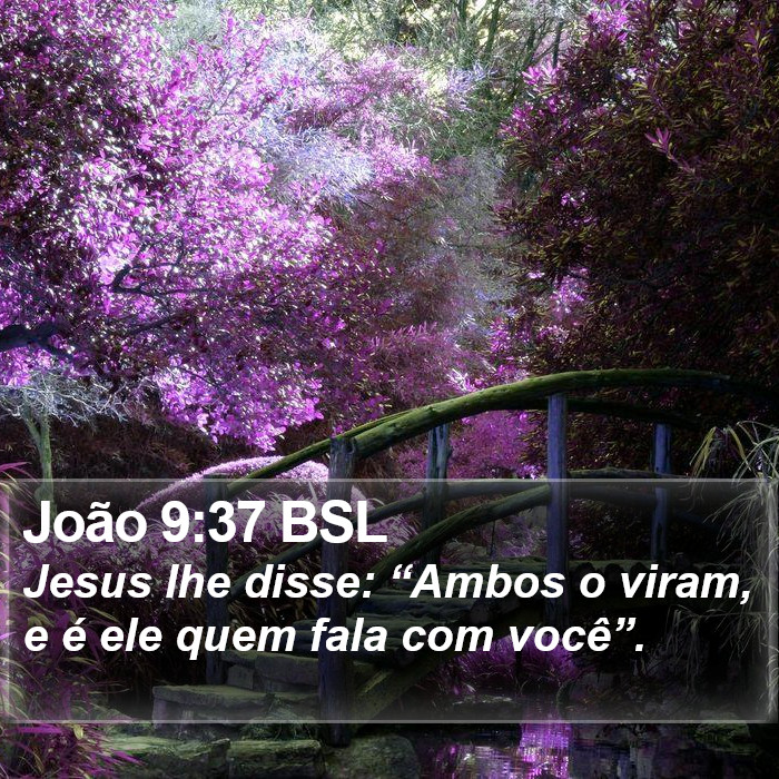 João 9:37 BSL Bible Study