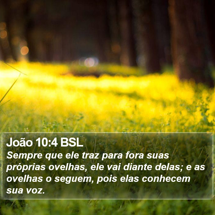 João 10:4 BSL Bible Study