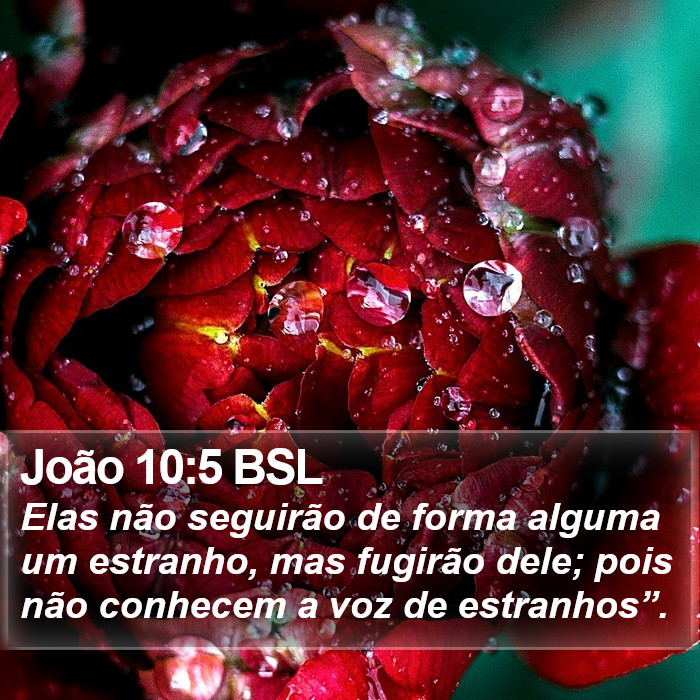 João 10:5 BSL Bible Study