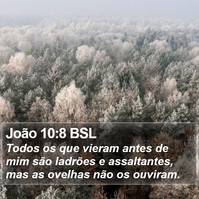João 10:8 BSL Bible Study