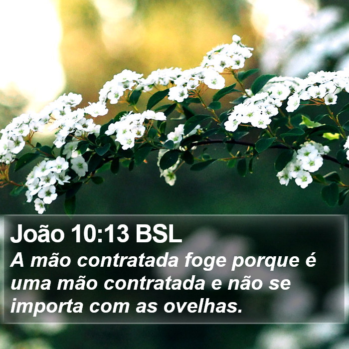 João 10:13 BSL Bible Study