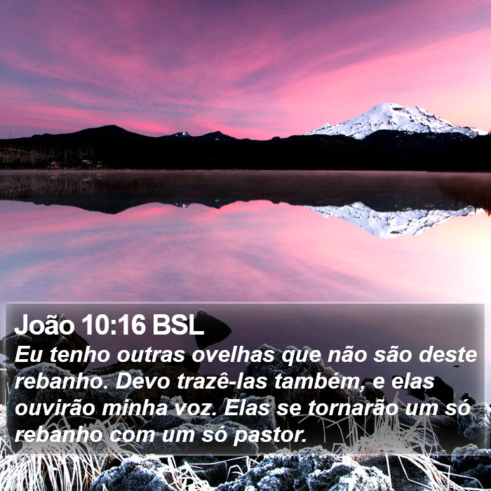 João 10:16 BSL Bible Study
