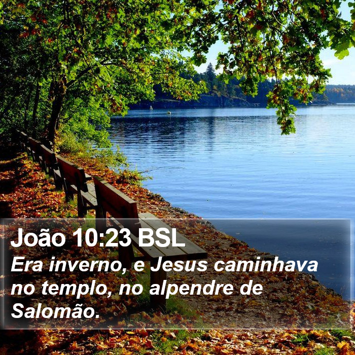 João 10:23 BSL Bible Study