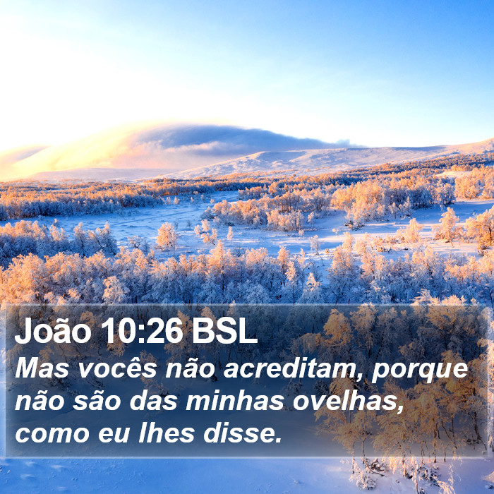 João 10:26 BSL Bible Study