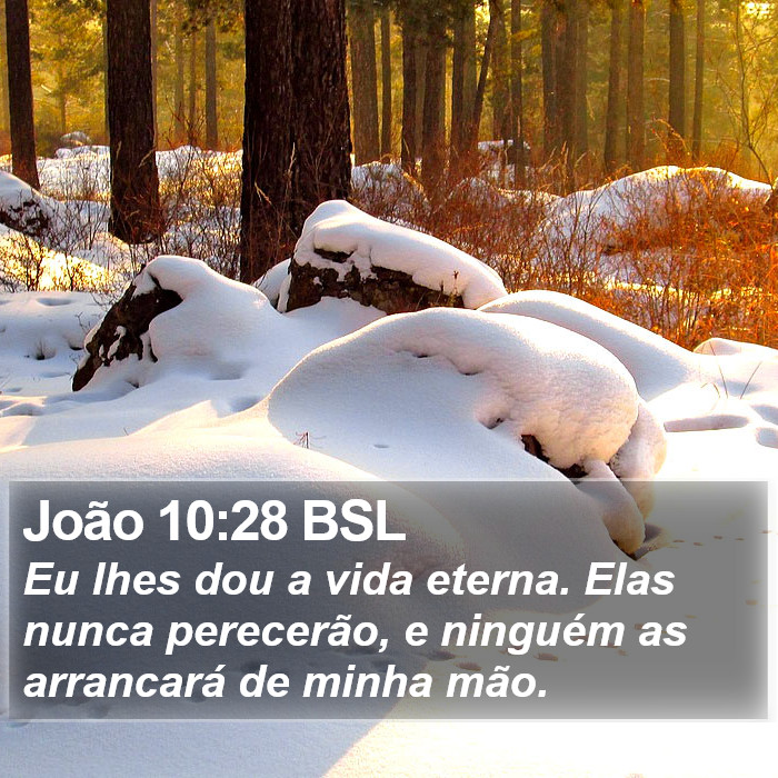 João 10:28 BSL Bible Study