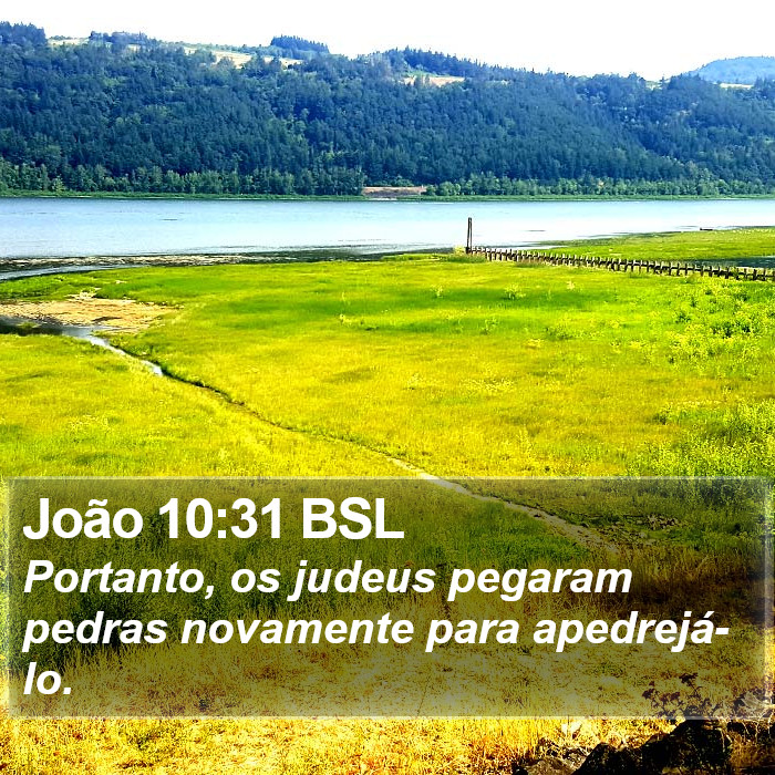 João 10:31 BSL Bible Study