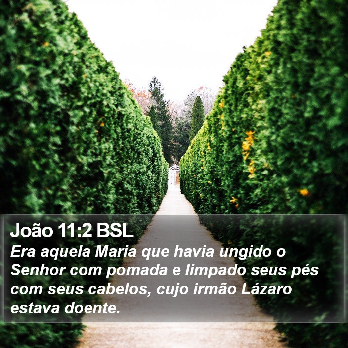 João 11:2 BSL Bible Study