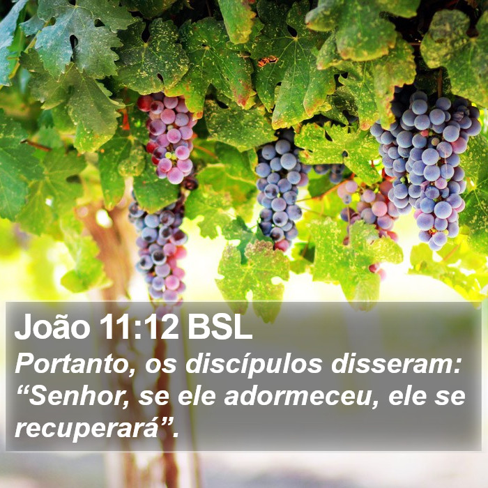 João 11:12 BSL Bible Study
