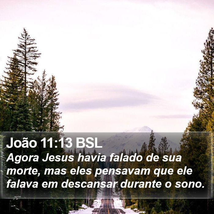 João 11:13 BSL Bible Study