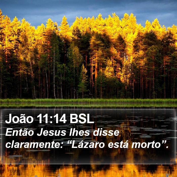 João 11:14 BSL Bible Study