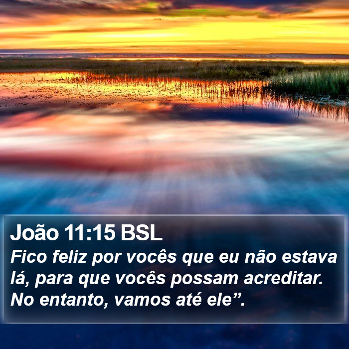 João 11:15 BSL Bible Study