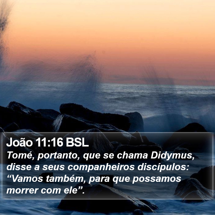 João 11:16 BSL Bible Study