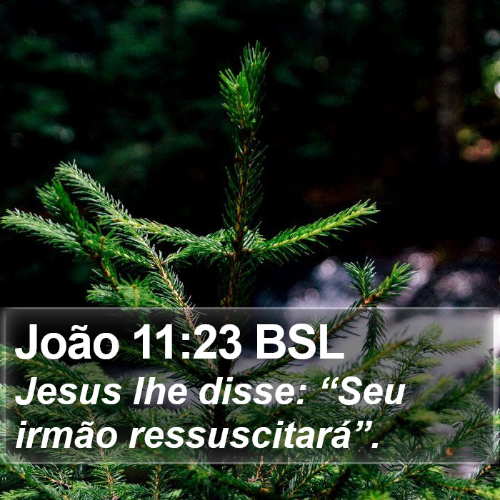 João 11:23 BSL Bible Study