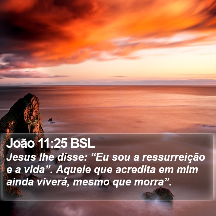 João 11:25 BSL Bible Study