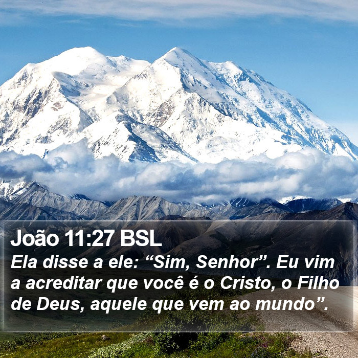 João 11:27 BSL Bible Study