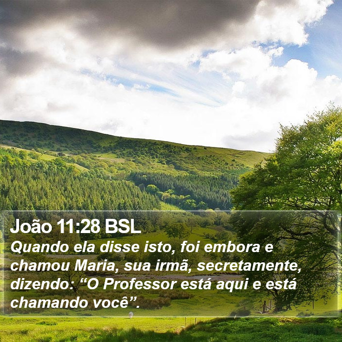João 11:28 BSL Bible Study