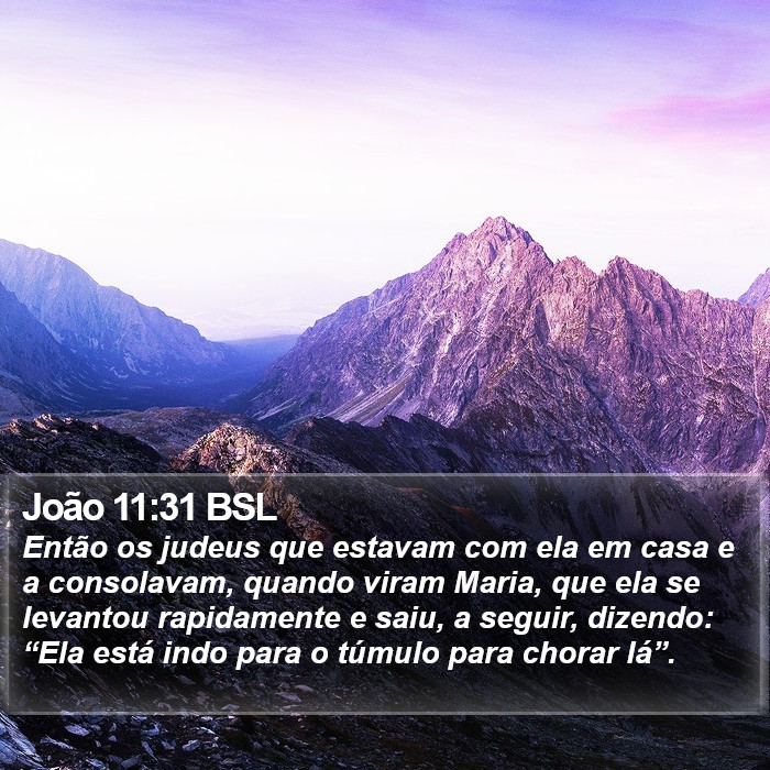 João 11:31 BSL Bible Study