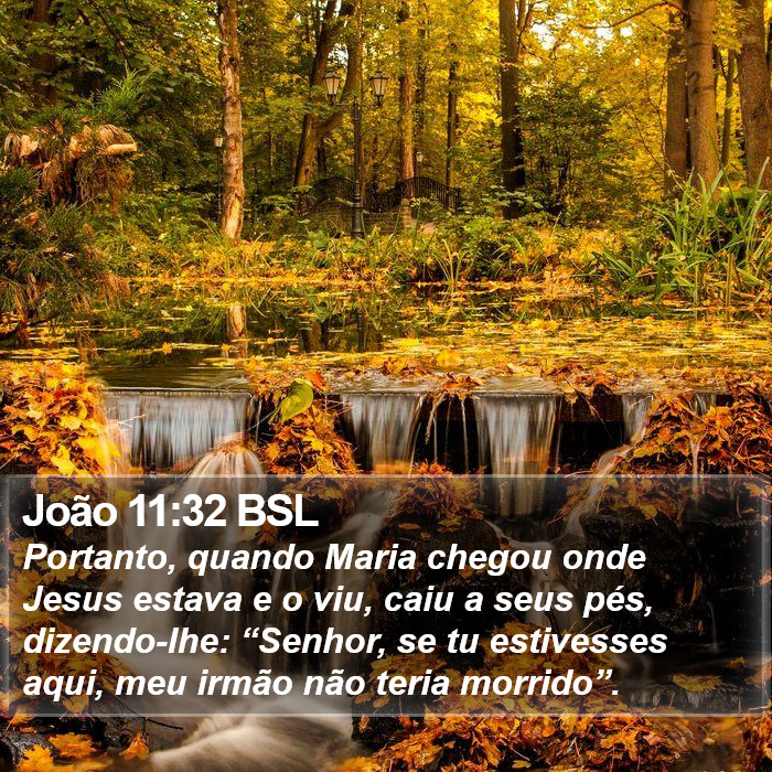 João 11:32 BSL Bible Study