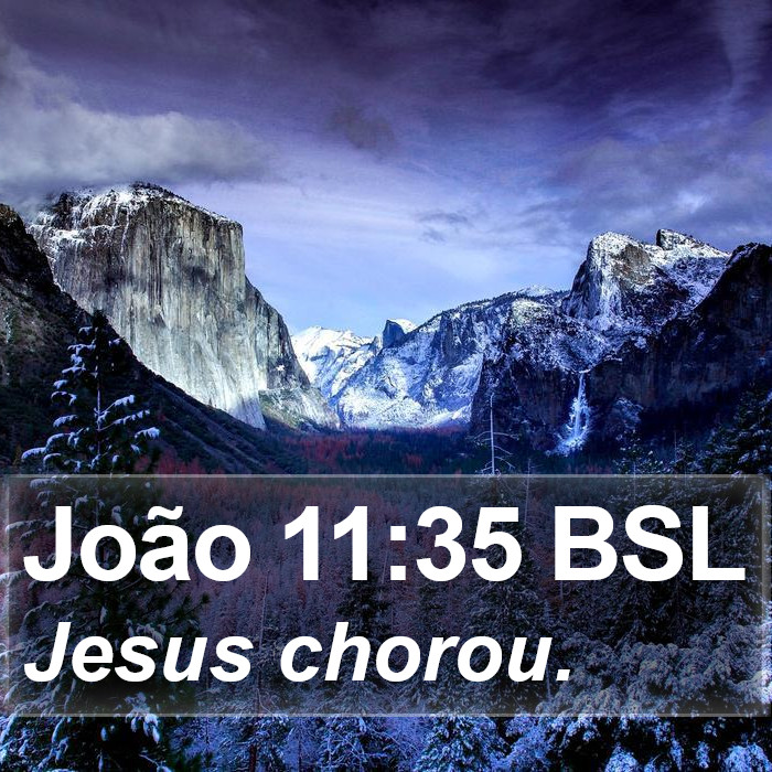 João 11:35 BSL Bible Study