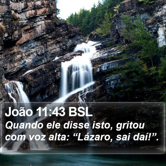 João 11:43 BSL Bible Study